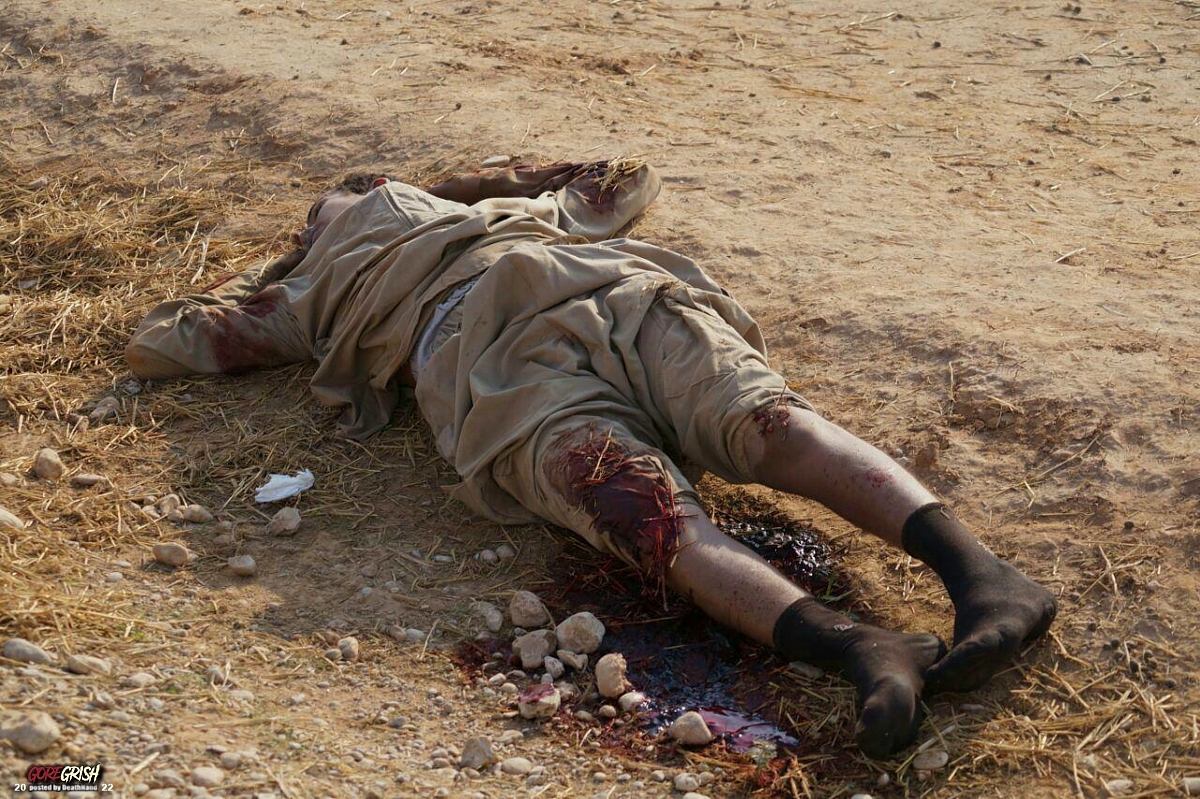 dead-isis-fighters-after-battle-with-ypg-sdf-forces-15-Hasaka-SY-nov-7-15.jpg