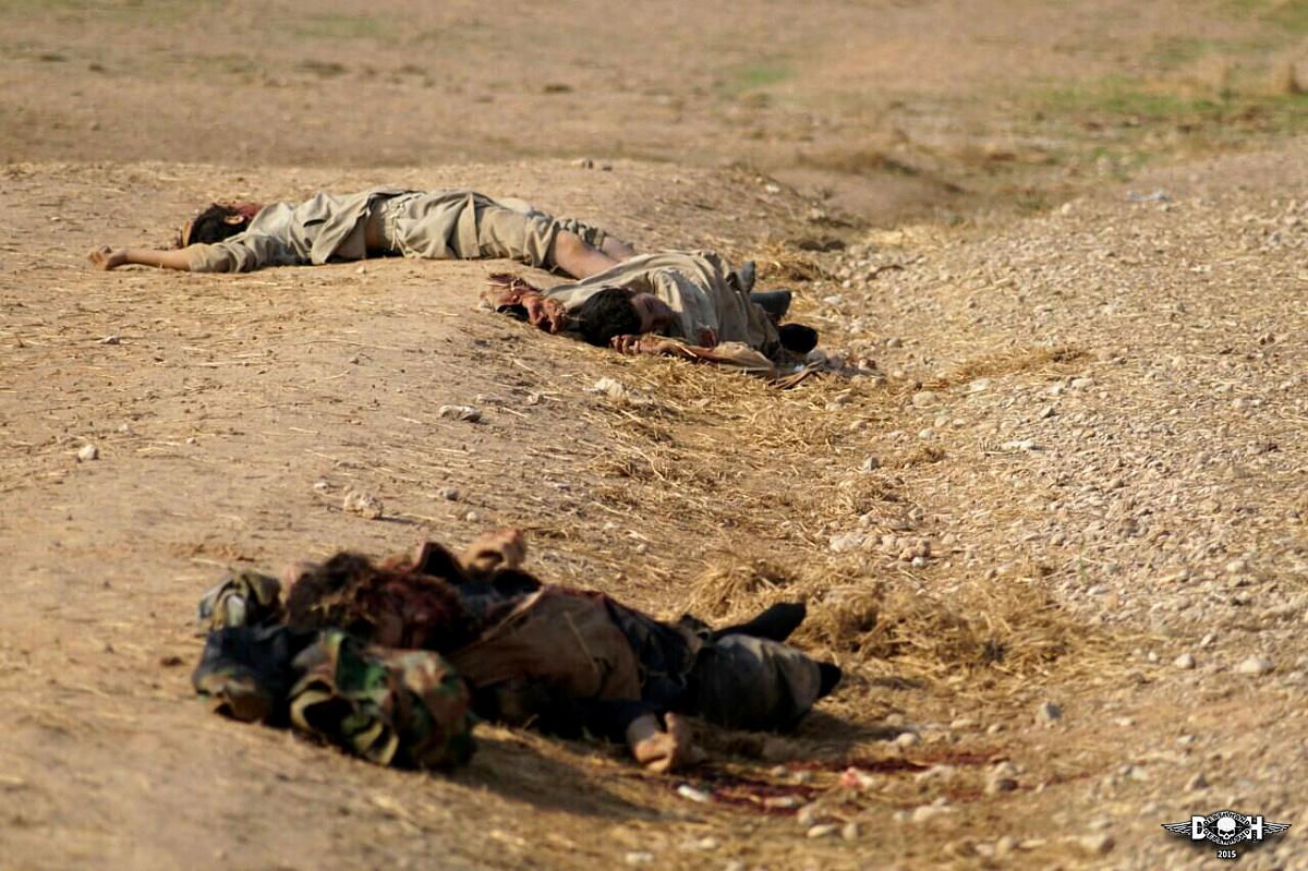 dead-isis-fighters-after-battle-with-ypg-sdf-forces-4-Hasaka-SY-nov-7-15.jpg
