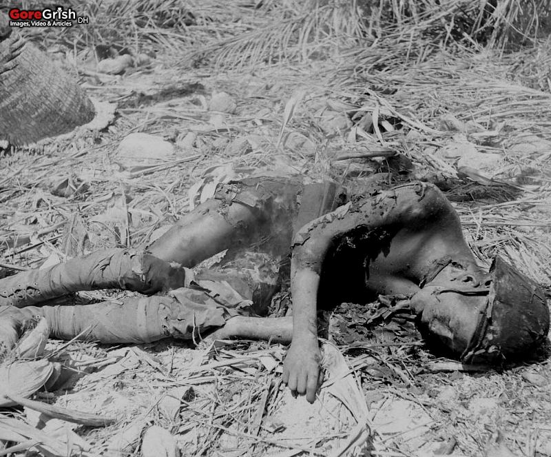 dead-japanese-soldier2-Pacific.jpg