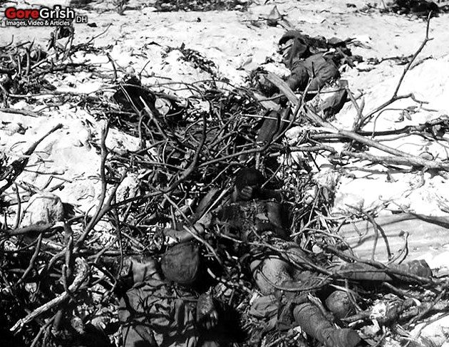 dead-japanese-soldiers-Perry-Island-MIs-feb1944.jpg