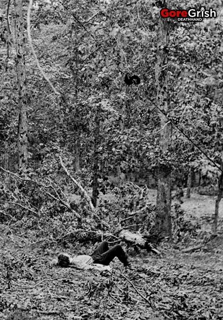 dead-soldier-in-forest.jpg