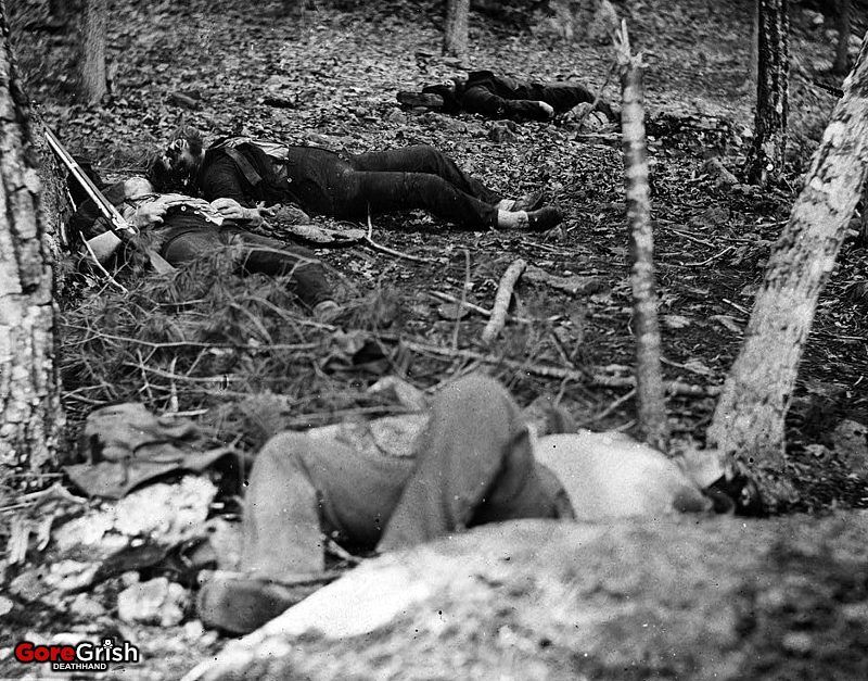 dead-soldiers-in-woods-Gettysburg-PA-July-1863.jpg