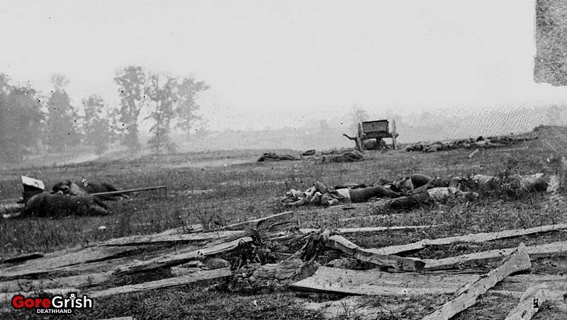 dead-soldiers1-Antietam.jpg