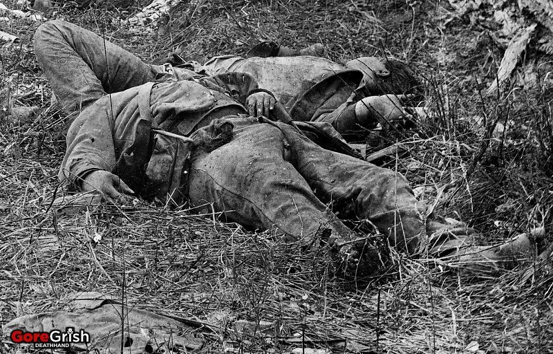 dead-soldiers4-Antietam.jpg