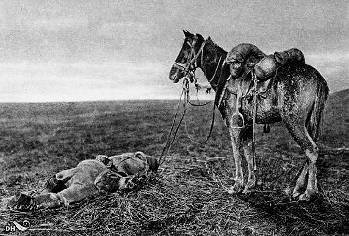 dead-soldiers5-Romania.jpg