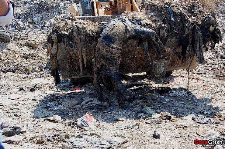 dead-syrians-in-garbage-dump11-Syria.jpg