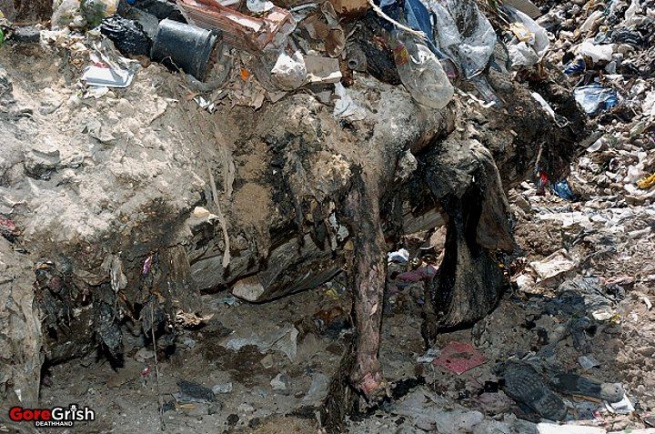 dead-syrians-in-garbage-dump2-Syria.jpg