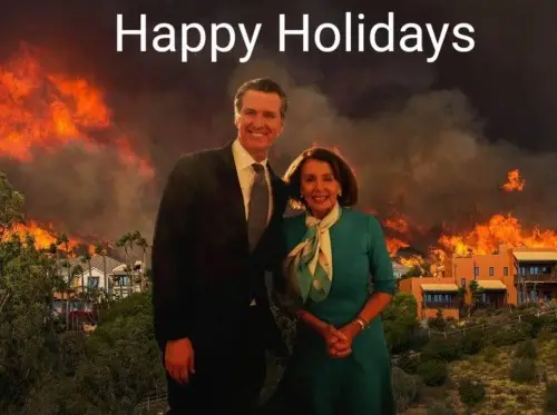 Dems happy holidays.webp