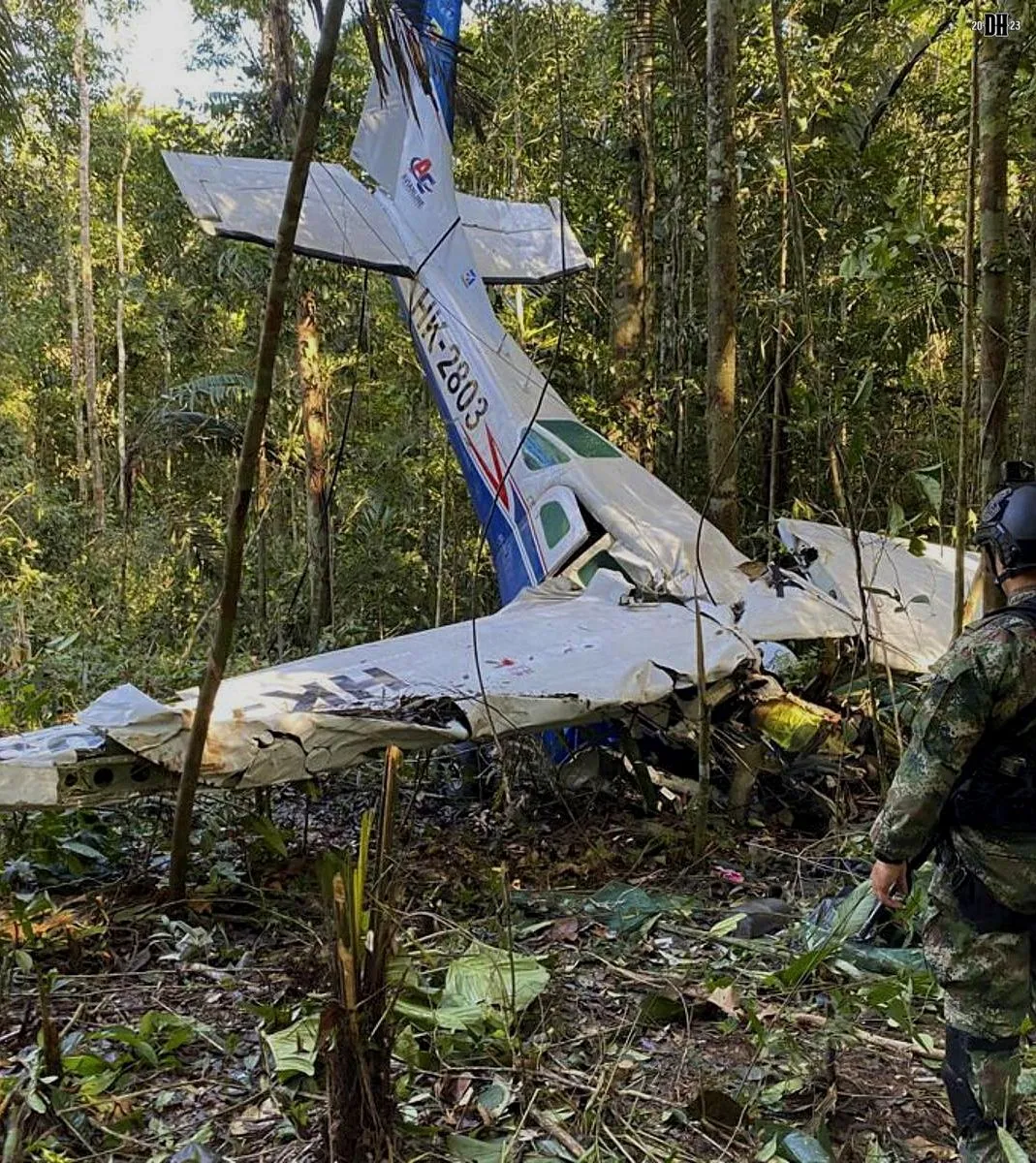 DH Crashed plane - 4 children survive plane crash n 40 days in jungle - June 2023.webp