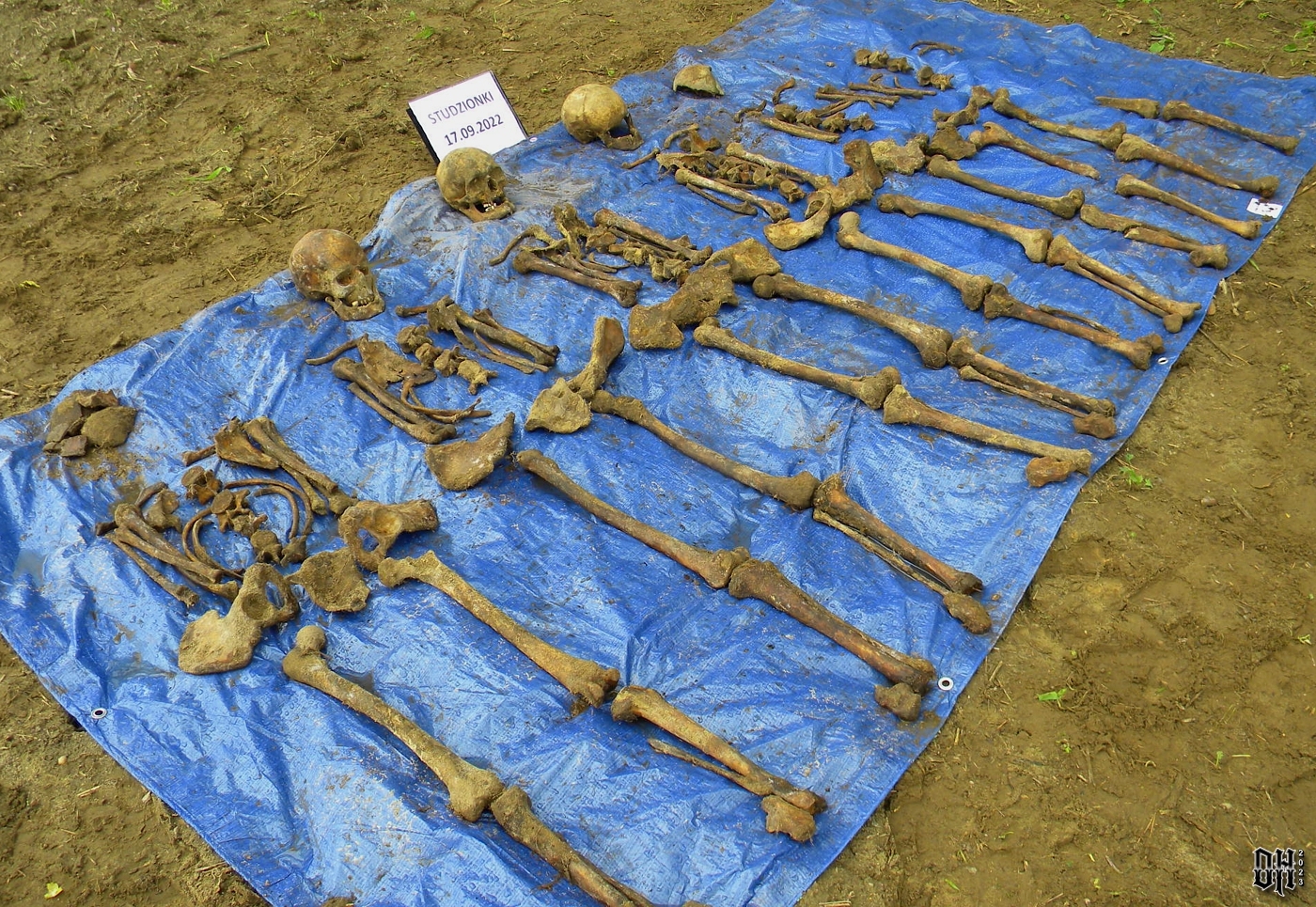DH - Remains German Soldiers Exhumed Poland Mixed 5.jpg