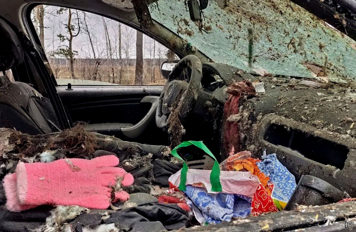 DH - Russians shoot woman dead in car with BMP fire 3 - near Bucha - Apr 2022.jpg