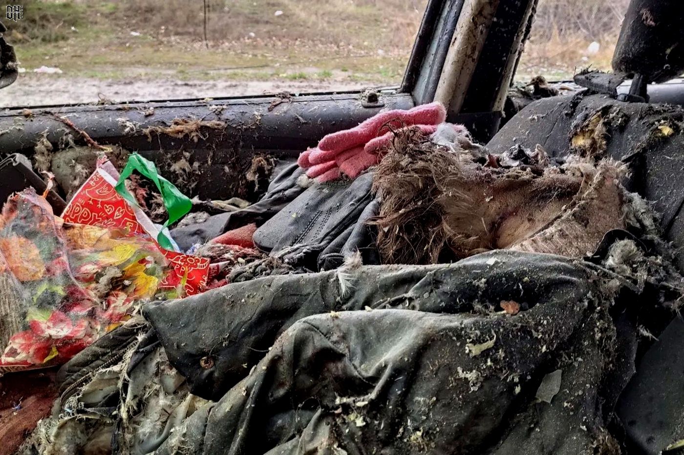 DH - Russians shoot woman dead in car with BMP fire 5 - near Bucha - Apr 2022.jpg