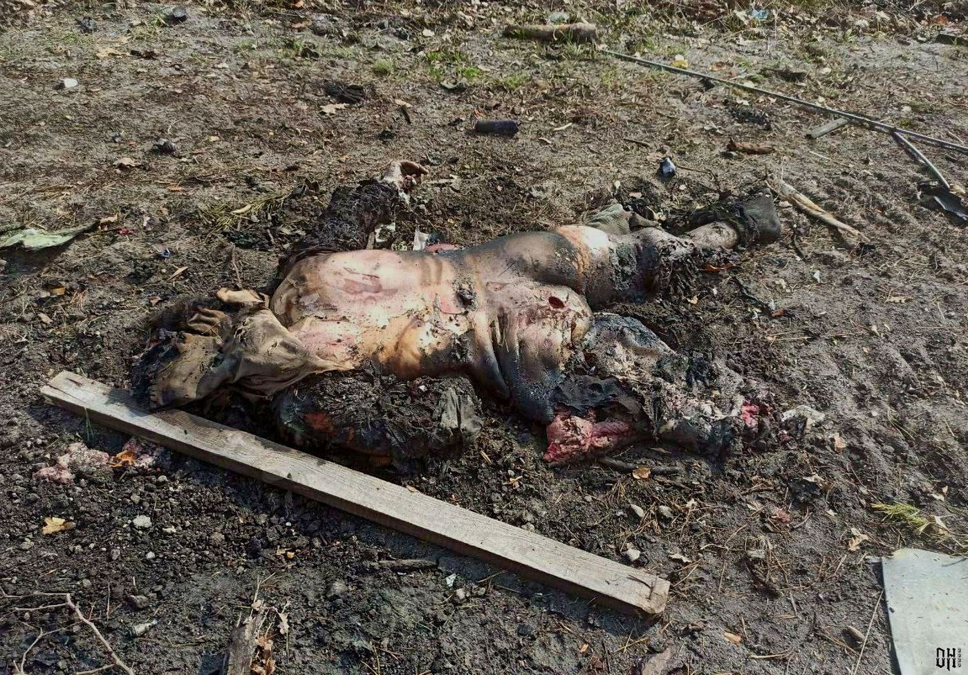 DH - Sldiers' Horror Faces and Bodies of Russia-Ukraine Conflict 40.jpg