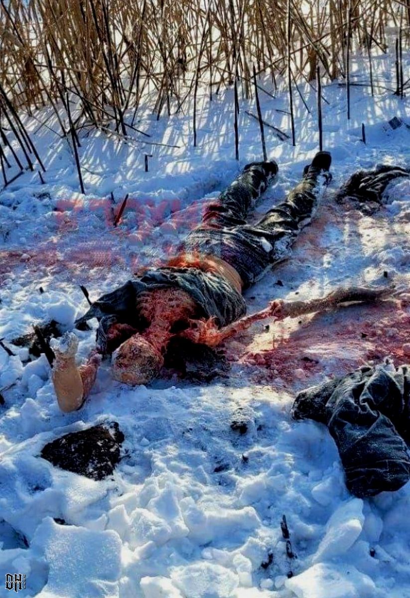 DH - Ukraine~Russia conflict - 1646 - KIA Russian soldier eaten by wildlife - Jan 2023.jpg