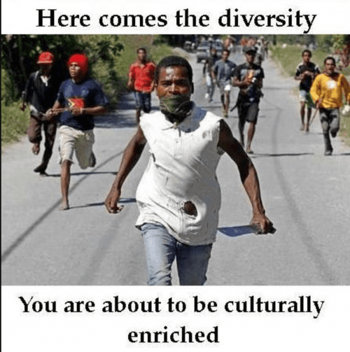 diversity.png