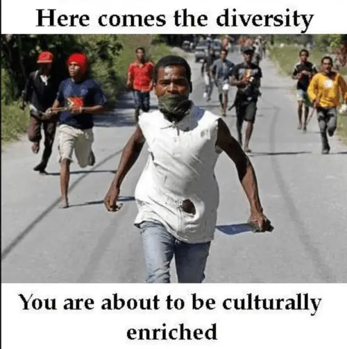 diversity.webp