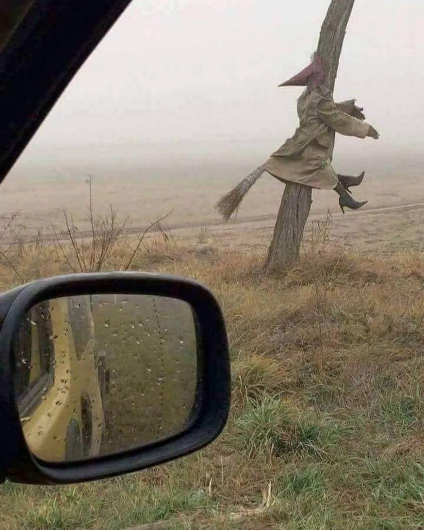 Don't fly in fog.webp