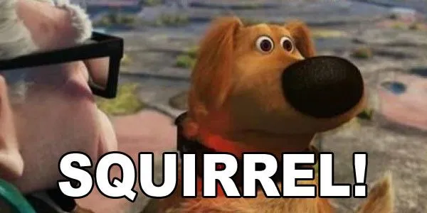 doug-up-squirrel.webp