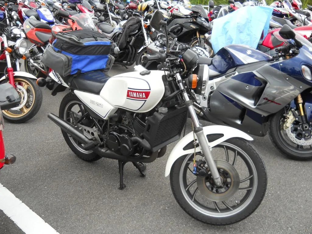DSCN0387.webp