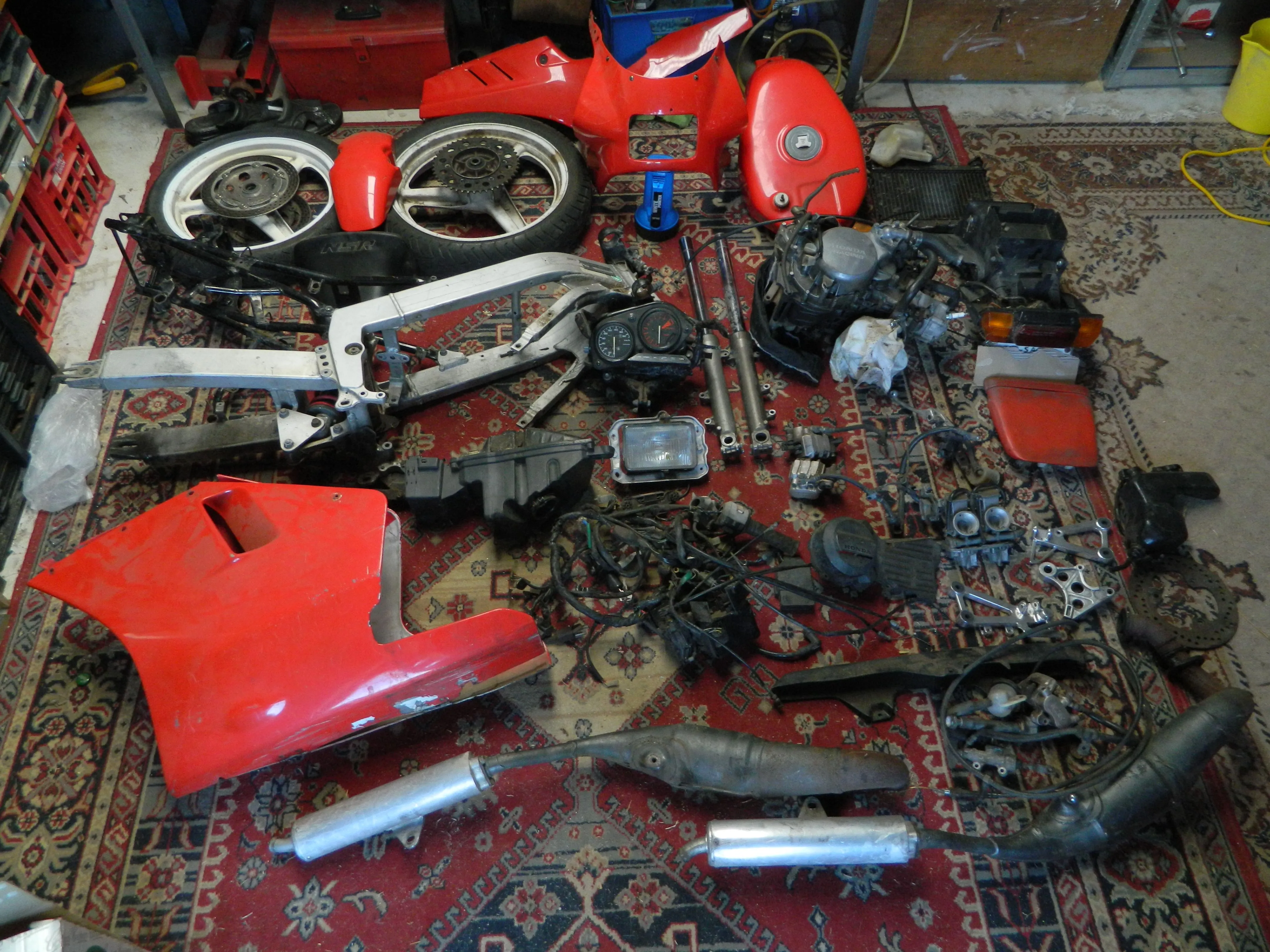 DSCN0555.webp