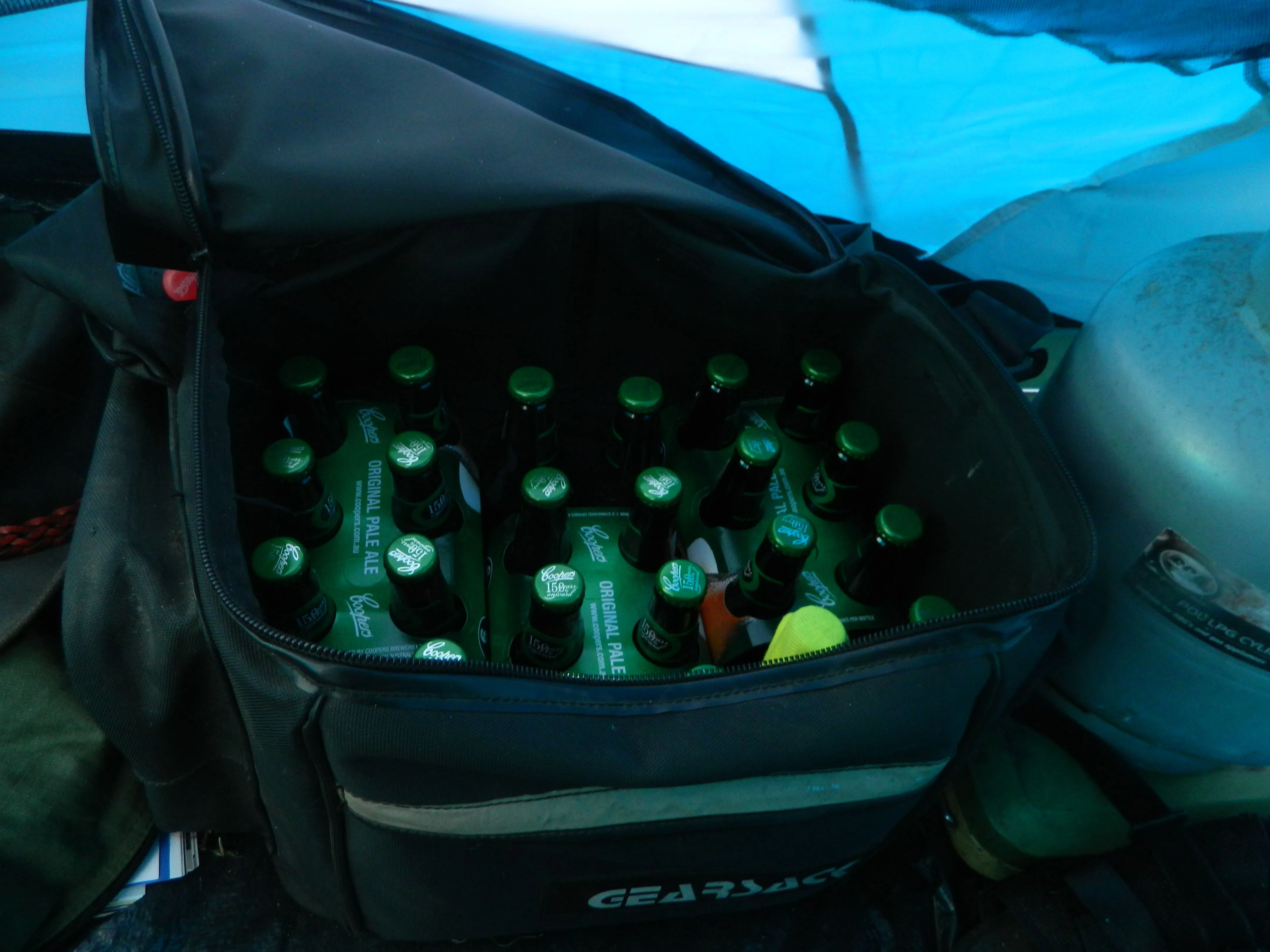 DSCN1262.webp