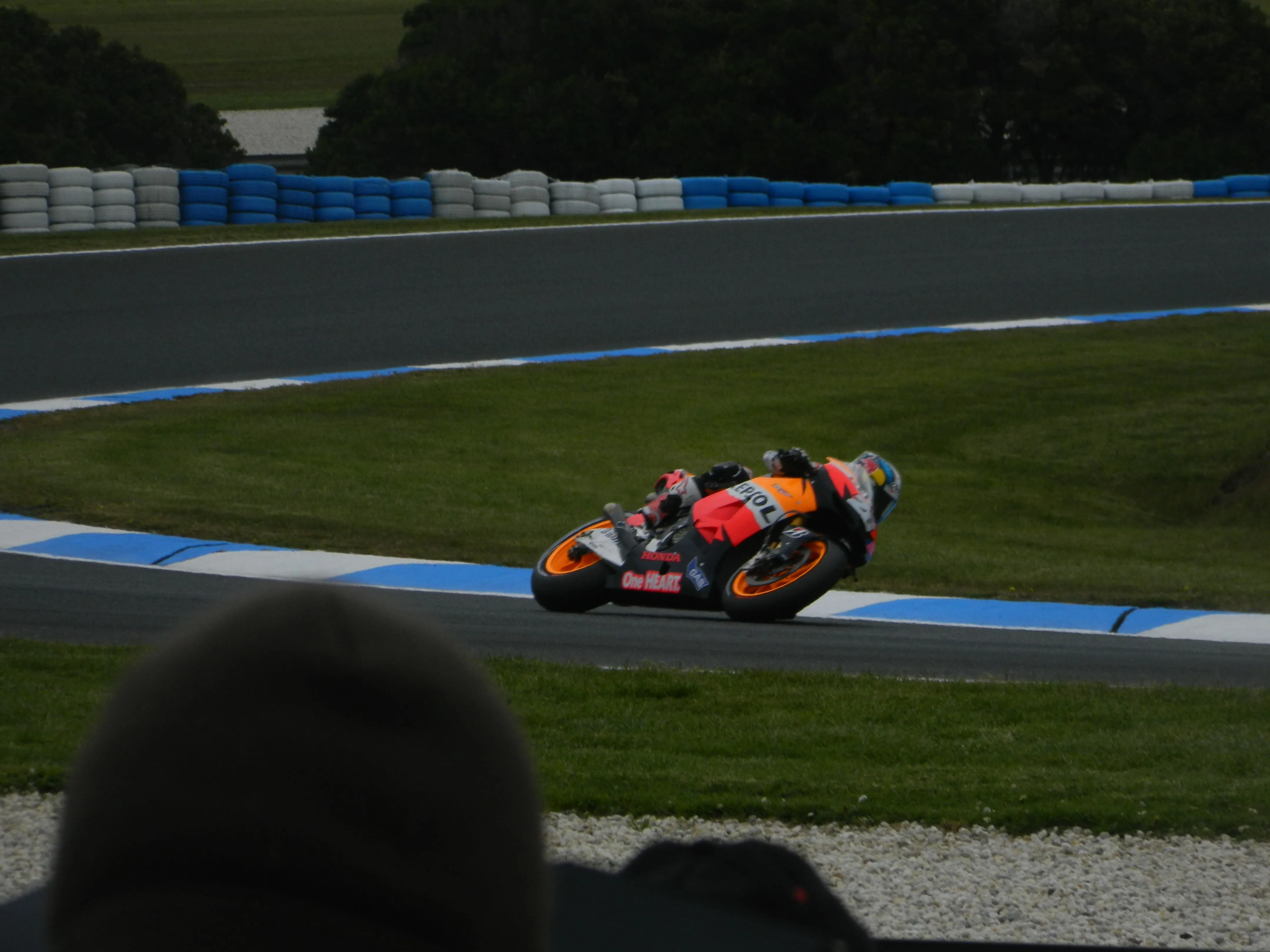DSCN1348.webp
