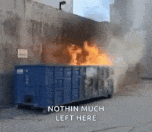 dumpster-fire-nothing-much-left-here.gif