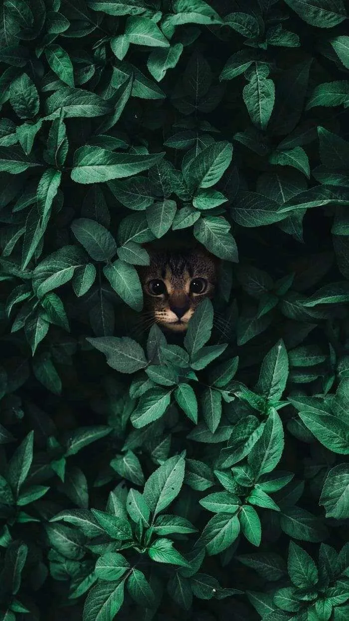 dvgwz645ipy31.webp