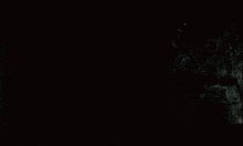 E3E80562-B435-40B2-8F3A-80E837C31756.gif