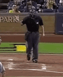 ejection-baseball.gif