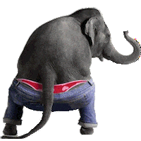 elephant.gif