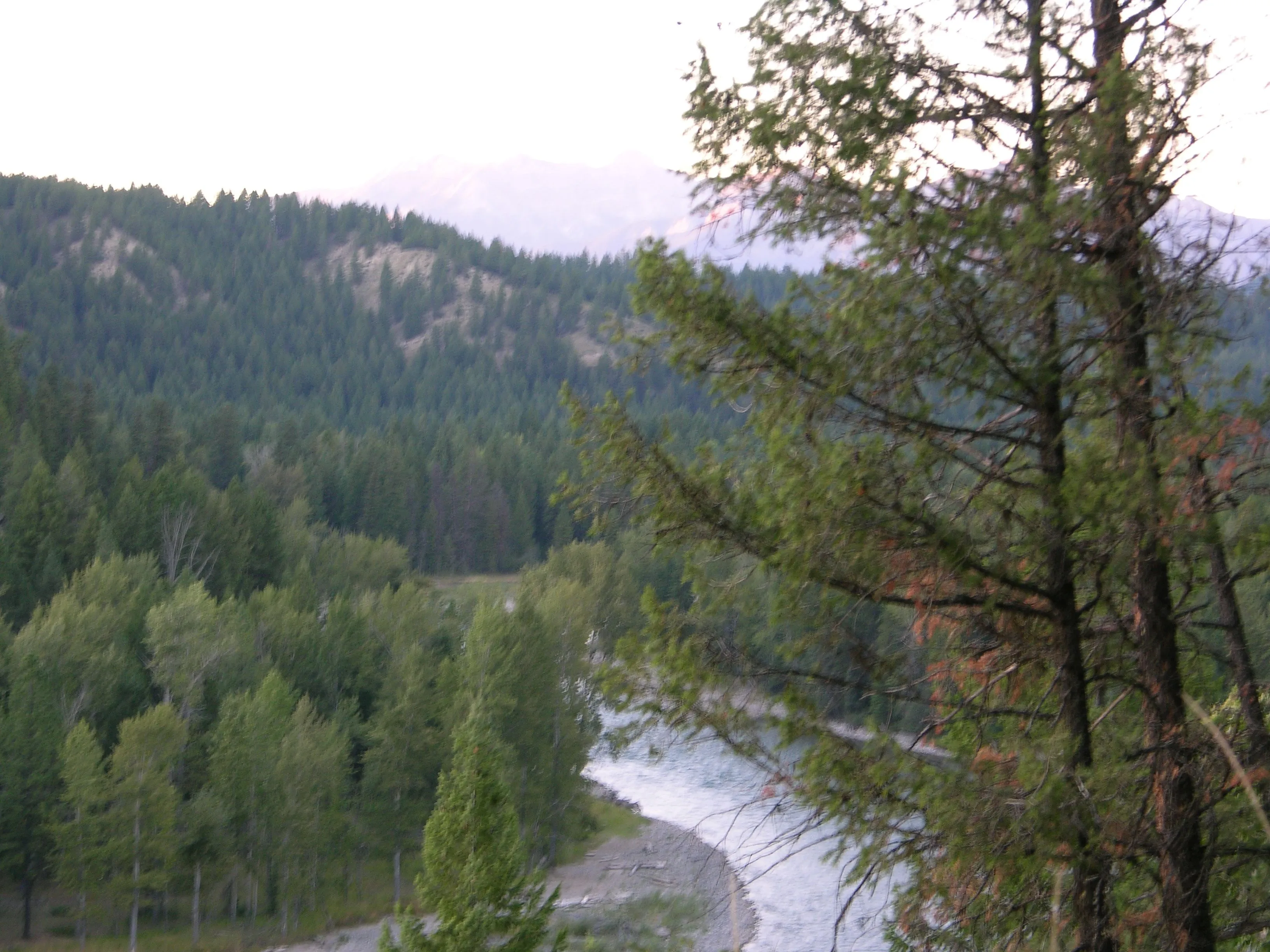 elk river.webp