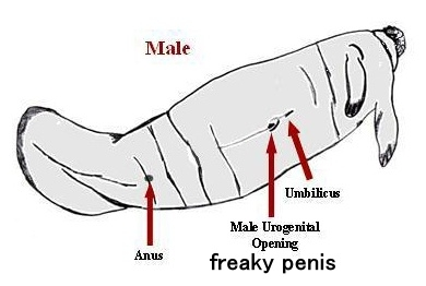 EMFaNxCX0AESiPg.jpg