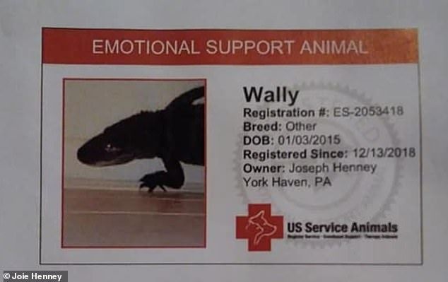 Emotional support gator.jpg