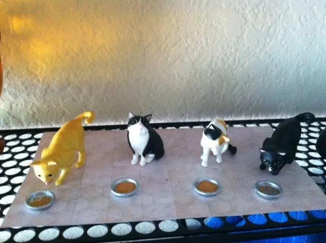 epochkitties.webp