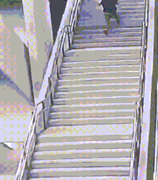 ezgif.com-optimize (1).gif