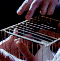 f2346f1721239cf36afe3896b47ea0cf_w200.gif