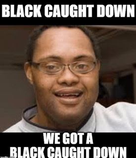 F853C331-C7F6-4ECF-A66C-F07575A621C4.webp