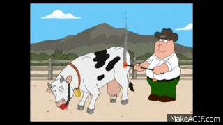 Family_Guy_Emo_Cow_Branded_Ooh_YahH_HD.gif