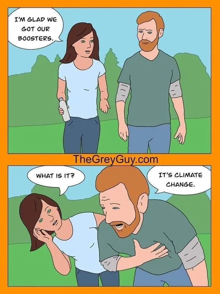 FB_IMG_1654650806156.webp