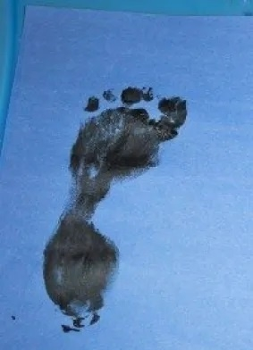 feet.webp