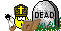 feste_2.gif