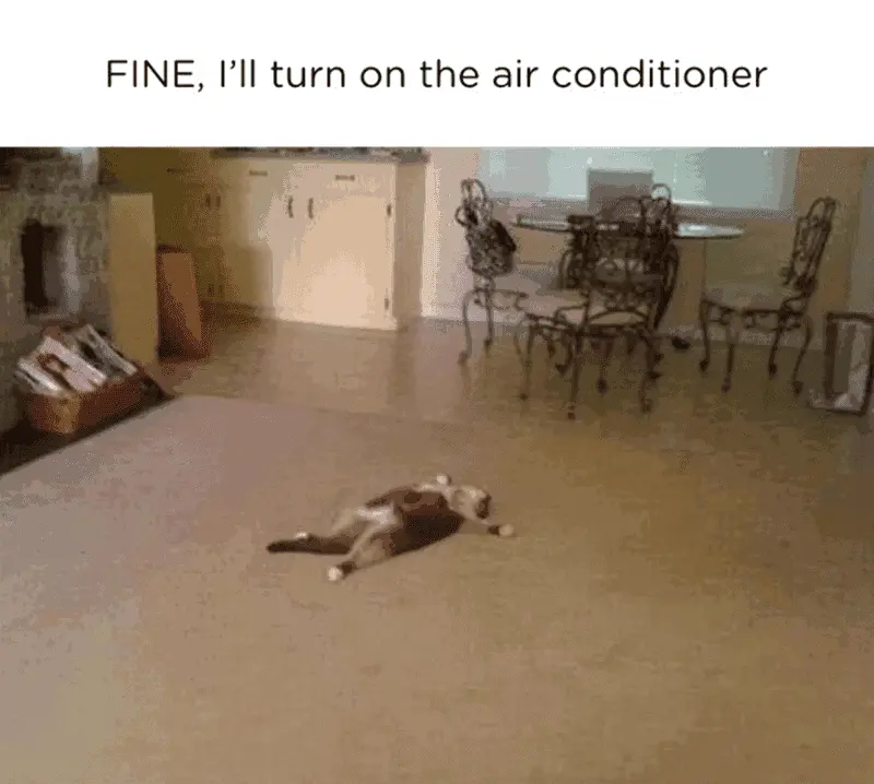 fine-turn-on-air-conditioner.webp
