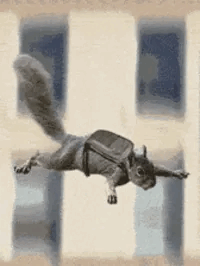 fl.gif