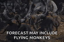 flying monkey.gif