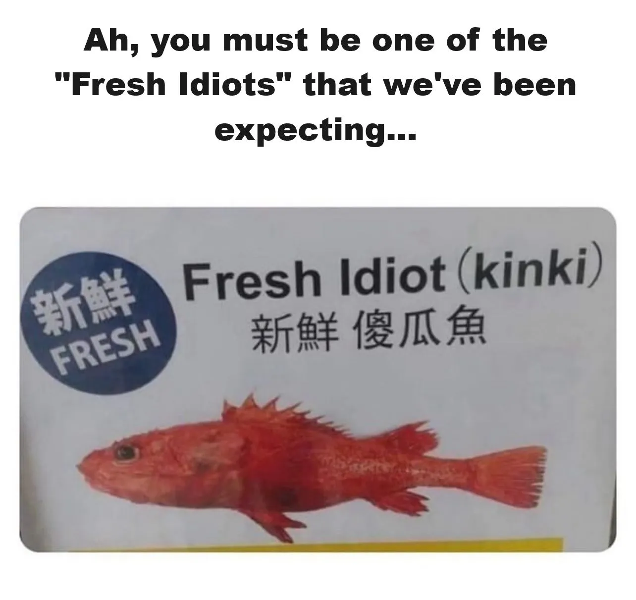 Fresh Idiot.webp