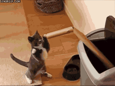 funny-gifs-back-you-fiend.gif