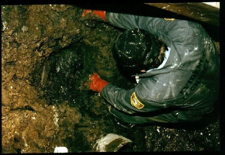 gacy-282229.jpg