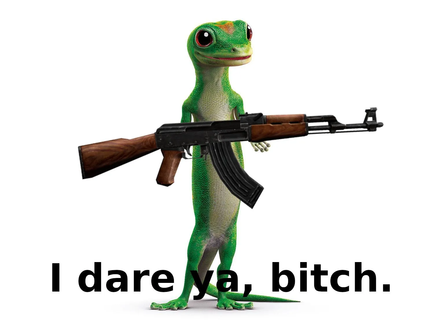 Gecko.webp
