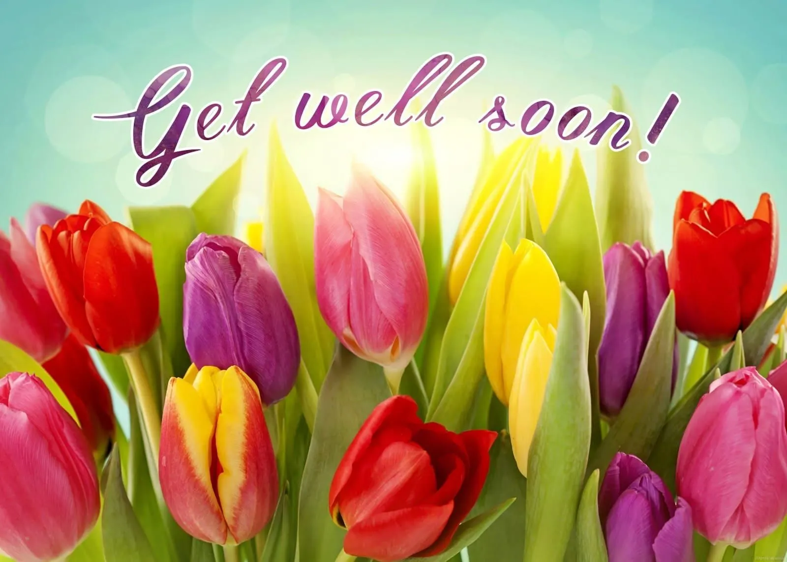 get-well-soon-186666666666666.webp